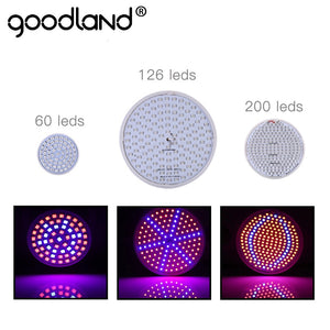 Goodland LED Grow Light Full Spectrum Phyto Lamp E27 Plant Lamp For Indoor Greenhouse Hydroponic Seedlings Flower Fitolamp
